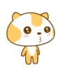 ️Meow orange  MOV 13