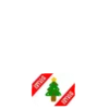 MIX NAVIDAD 7.MOV 23