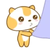 ️Meow orange  MOV 15
