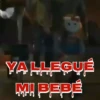 Tiernorífico Chucky llegó 17