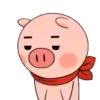 Yolo y Pig     (Mov 13