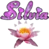 τυ Eท ƒlσr4 19