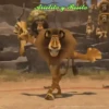 DIVERSION CON MADAGASCAR 17