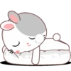 Rabbit .MOV 15