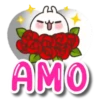 AMOR AMOR MOV 15