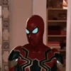 Spiderman   Tom 17