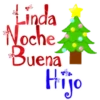 Lindanochebuen3 14