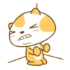 ️Meow orange  MOV 17