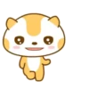 ️Meow orange  MOV 18