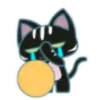 ️ gatito negrito mov 23