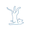 Gatito 11