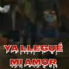 Tiernorífico Chucky llegó 21