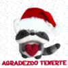 ️ NAVIDAD  ️ 23