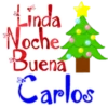 LindaNocheBuen2 26