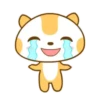 ️Meow orange  MOV 19