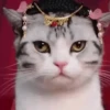 Cats, kittens ️ 19