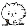 Whitecat[Nyanko]02 .MOV 20