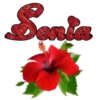 τυ Eท ƒlσr4 24