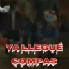 Tiernorífico Chucky llegó 24