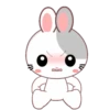 Rabbit .MOV 20