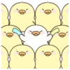 Kitty Chicken 27