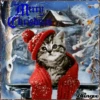 varios animé christmas  ️  ️ 24