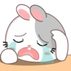 Rabbit .MOV 23