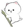 White Cat 4  .MOV 21