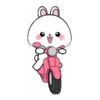 Vanilla Rabbit 6 .MOV 23