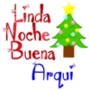 Lindanochebuen3 29
