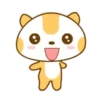 ️Meow orange  MOV 22