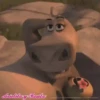 DIVERSION CON MADAGASCAR 25
