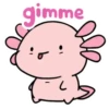 Random Cute Animals 30