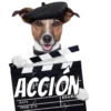 Perros cool 5