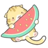 Cat's and Friends  (Mov) 5