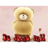 oso enamorado  1 MOV 6
