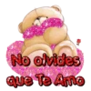 oso enamorado  1 MOV 7