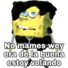 Bob Emo 5