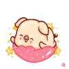 Shine pig 1 MOV 5