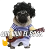 Perros cool 6