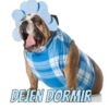 Perros cool 10