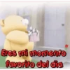 oso enamorado  1 MOV 9
