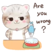 ˙·٠● kitten cat 2 ●٠·˙mov 5