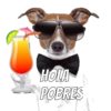 Perros cool 12
