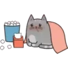 Regordete Meow      Mov 8