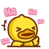 B.Duck Baby Daily 7