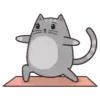 Regordete Meow      Mov 9