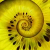 Hypnotic fruits 5