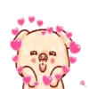 Shine pig 1 MOV 9