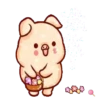 Shine pig 1 MOV 10